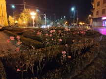 Nighttime samples from the main sensor - f/1.8, ISO 1277, 1/17s - Xiaomi Mi 9T Pro long-term review