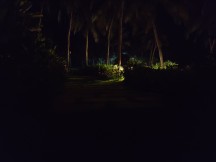 Night mode - f/1.8, ISO 25600, 1/14s - Xiaomi Redmi Note 7 Pro review