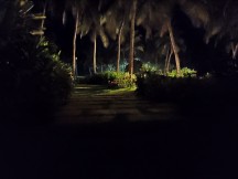 Night mode - f/1.8, ISO 25600, 1/14s - Xiaomi Redmi Note 7 Pro review