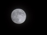 40x Moon Shot - f/4.4, ISO 64, 1/100s - Huawei P40 Pro Plus review