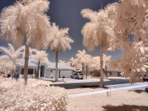 Infrared 'color filter' camera at launch - f/2.4, ISO 125, 1/1430s - OnePlus 8 Pro long-term review