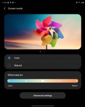 Display settings and color profiles - Samsung Galaxy Z Fold2 review
