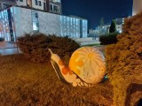 Night Mode, 12.5MP - f/1.9, ISO 11481, 1/5s - Ulefone Armor 9 review
