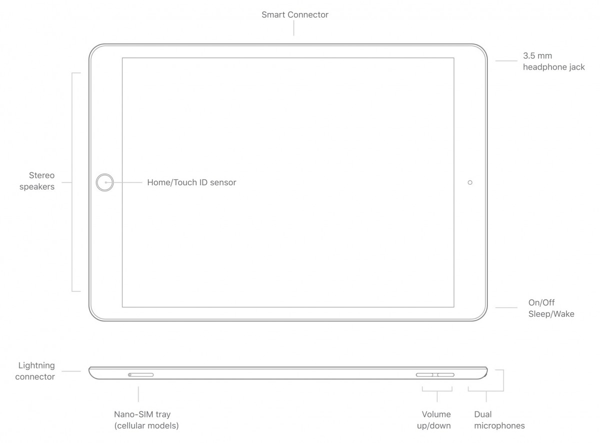 Apple iPad (9th Gen) Dimensions & Drawings