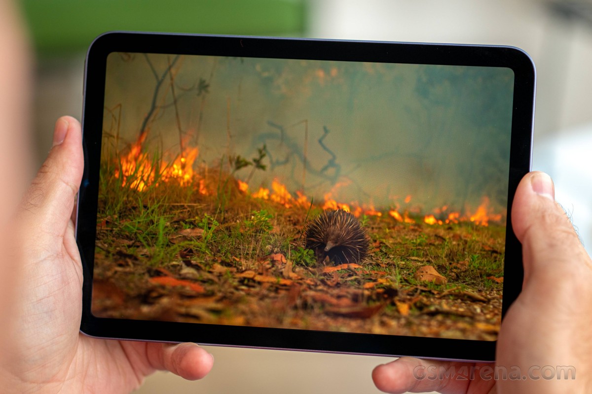skab Perth Blackborough Dyrt Apple iPad mini 6th gen (2021) review: Our lab tests - display, battery  life, charging speed, speakers