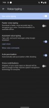Voice Typing: Settings - Google Pixel 6 Pro review