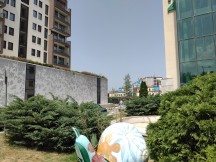 Motorola Defy (2021): 12MP main camera samples, HDR OFF - f/1.7, ISO 100, 1/2169s - Motorola Defy (2021) review