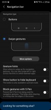 Gesture navigation settings - Samsung Galaxy Note20 Ultra long-term review