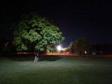 Low-light samples, main camera, no Night mode - f/1.8, ISO 12798, 1/13s - Xiaomi 11T review