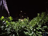 UW cam Night Mode OFF, 12MP - f/2.4, ISO 2500, 1/25s - Apple iPhone 14 Plus review