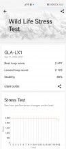 GPU stress test - Huawei nova 10 Pro review
