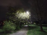 Low-light samples, main camera (1x), no Night mode - f/1.9, ISO 4519, 1/14s - Poco F4 GT review