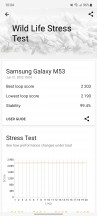 3DMark Wild Life stress test - Samsung Galaxy M53 review
