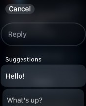 Replies and keyboard - Apple Watch Series 9 review