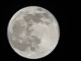Super Moon 100x - f/3.0, ISO 50, 1/669s - Honor Magic5 Pro review