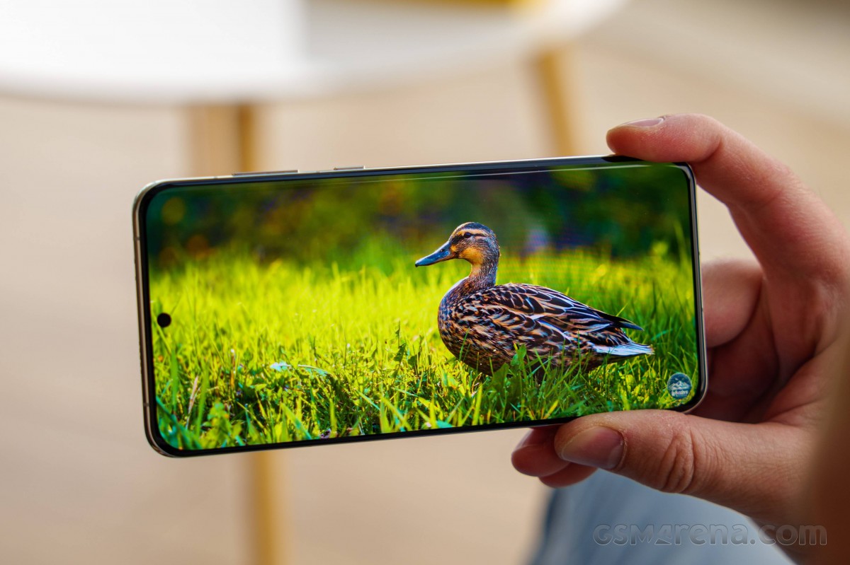 Huawei P60 Pro -  External Reviews