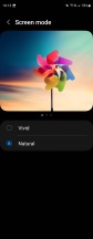 Screen mode settings - Samsung Galaxy Z Fold4 long-term review
