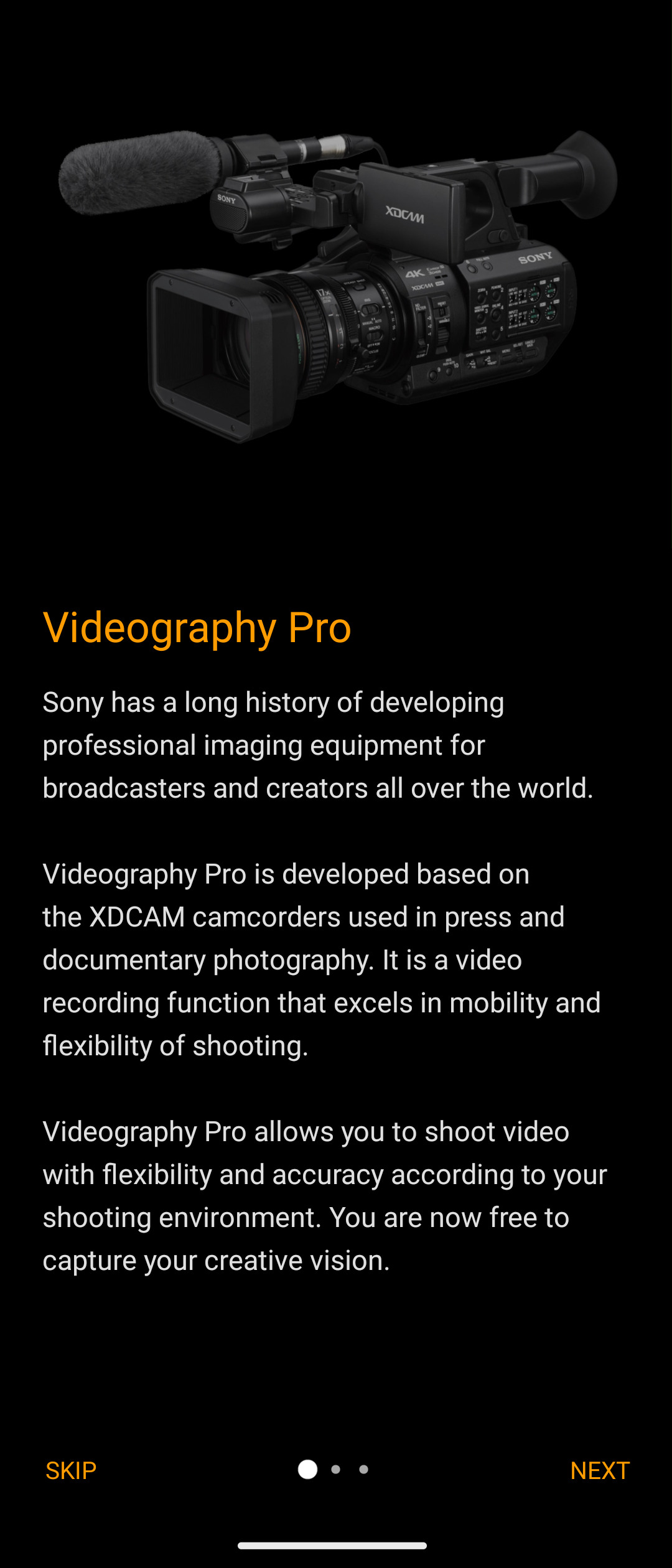 Sony Xperia 5 V review