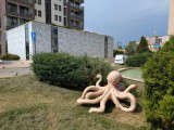 Magic editor: Reimagine as 'an octopus' - f/1.7, ISO 21, 1/1637s - Google Pixel 9 Pro XL review