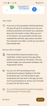 Pixel screenshots - Google Pixel 9 Pro XL review