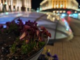 Low-light samples, main camera (35mm) - f/1.6, ISO 3200, 1/11s - nubia Z60 Ultra review
