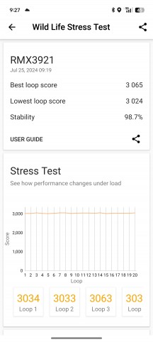 3DMark Wild Life stress test - Realme 13 Pro+ review