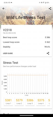 CPU and GPU stress tests - vivo V30 review