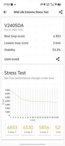 Wild Life Extreme stress test - vivo X200 Pro review