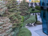 Google Pixel 9a: 12MP main camera 2x zoom samples - f/1.7, ISO 28, 1/179s - Google Pixel 9a review