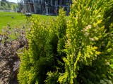 Google Pixel 9a: 12MP ultrawide camera samples - f/2.2, ISO 40, 1/962s - Google Pixel 9a review