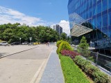 Main camera photos - f/1.9, ISO 50, 1/740s - Honor 400 Pro review