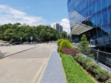 200MP main camera photos - f/1.9, ISO 50, 1/720s - Honor 400 Pro review