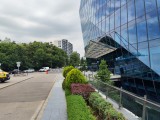 Honor 400: 12.5 MP main camera samples - f/1.9, ISO 50, 1/710s - Honor 400 review