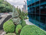 Honor 400: 12 MP ultrawide camera samples - f/2.2, ISO 50, 1/600s - Honor 400 review
