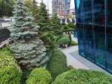 Honor 400: 12.5 MP main camera samples - f/1.9, ISO 50, 1/370s - Honor 400 review