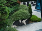 Honor 400: 12.5 MP main camera 4x zoom samples - f/1.9, ISO 50, 1/100s - Honor 400 review