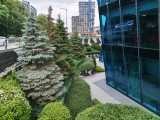Honor 400: 200 MP main camera samples - f/1.9, ISO 50, 1/410s - Honor 400 review