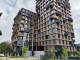 Honor 400: 12.5 MP main camera samples - f/1.9, ISO 50, 1/1000s - Honor 400 review