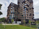 Honor 400: 200 MP main camera samples - f/1.9, ISO 50, 1/1000s - Honor 400 review