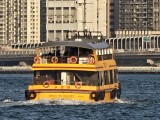 Telephoto camera Extreme zoom: 46X - 1071mm, f/2.6, ISO 50, 1/480s (4080x3072px) - Honor Magic 8 Pro hands-on review