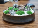 Telephoto camera samples (3.7x) - 85mm, f/2.6, ISO 640, 1/20s (4080x3072px) - Honor Magic 8 Pro hands-on review