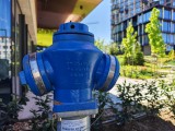 Main camera, 1x zoom - f/1.9, ISO 50, 1/440s - Honor Magic V Flip 2 review