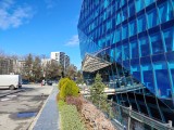 Honor Magic8 Lite: 12MP main camera samples - 24mm, f/1.8, ISO 100, 1/742s (4000x3000px) - Honor Magic8 Lite review