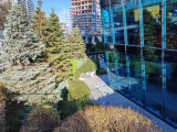 Honor Magic8 Lite: 12MP main camera samples - 24mm, f/1.8, ISO 100, 1/297s (4000x3000px) - Honor Magic8 Lite review