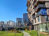 Honor Magic8 Lite: 108MP main camera samples - 24mm, f/1.8, ISO 100, 1/449s (12000x9000px) - Honor Magic8 Lite review