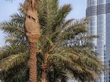 10x telephoto camera in good light - f/3.6, ISO 100, 1/781s - Huawei Pura 80 Ultra Handson Camera1  review