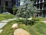 Infinix GT 30 Pro: 12MP main camera samples - f/1.9, ISO 50, 1/677s - Infinix GT 30 Pro review