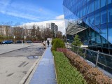 Main camera daylight photos - 23mm, f/1.9, ISO 71, 1/1269s (4096x3072px) - Iqoo 15 review