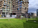 Main camera daylight photos - 23mm, f/1.9, ISO 71, 1/1239s (4096x3072px) - Iqoo 15 review