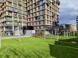 50MP main camera photos - 23mm, f/1.9, ISO 71, 1/1873s (8192x6144px) - Iqoo 15 review